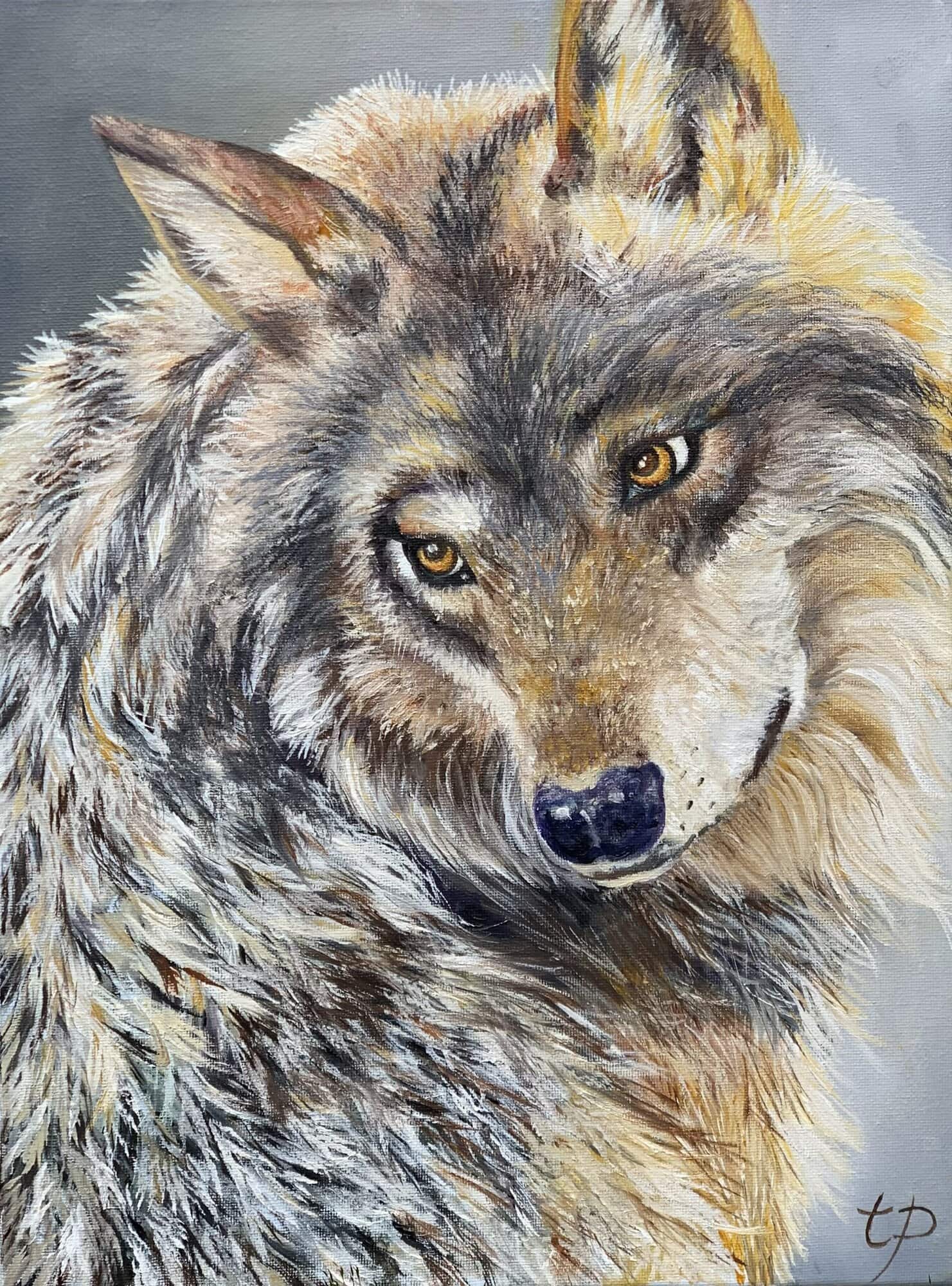 Tandy Pengelly Wildlife Artist Wolf painting, wildlife art, canine ancestors, majestic wolves, nature-inspired art