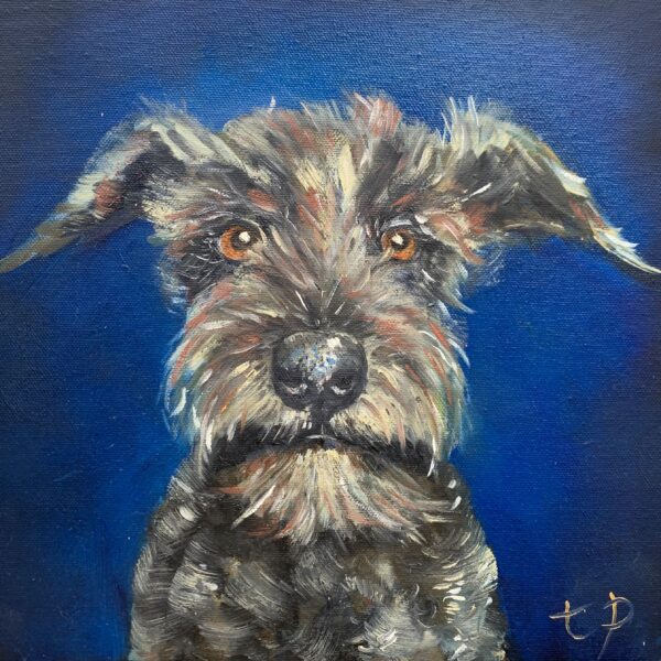 Pet Portrait by Tandy Pengelly