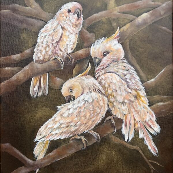 Three Cockatoos, Oil Painting by Tandy Pengelly Wildlife Artist Original Wildlife Oil Painting on Canvas, 60 x 50 cm This luminous oil painting captures three cockatoos resting quietly among twisting branches, their soft peach and ivory feathers glowing against a rich, earthy background. Painted with sensitivity and depth, the work celebrates intimacy, companionship and the quiet intelligence of the natural world.