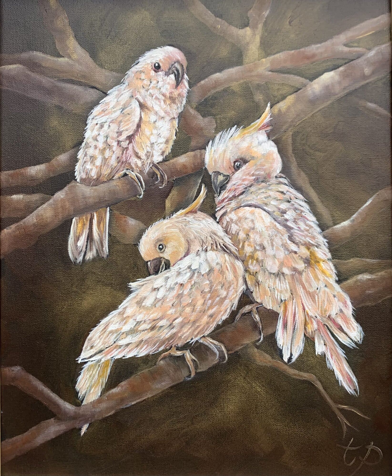 Three Cockatoos, Oil Painting by Tandy Pengelly Wildlife Artist Original Wildlife Oil Painting on Canvas, 60 x 50 cm This luminous oil painting captures three cockatoos resting quietly among twisting branches, their soft peach and ivory feathers glowing against a rich, earthy background. Painted with sensitivity and depth, the work celebrates intimacy, companionship and the quiet intelligence of the natural world.