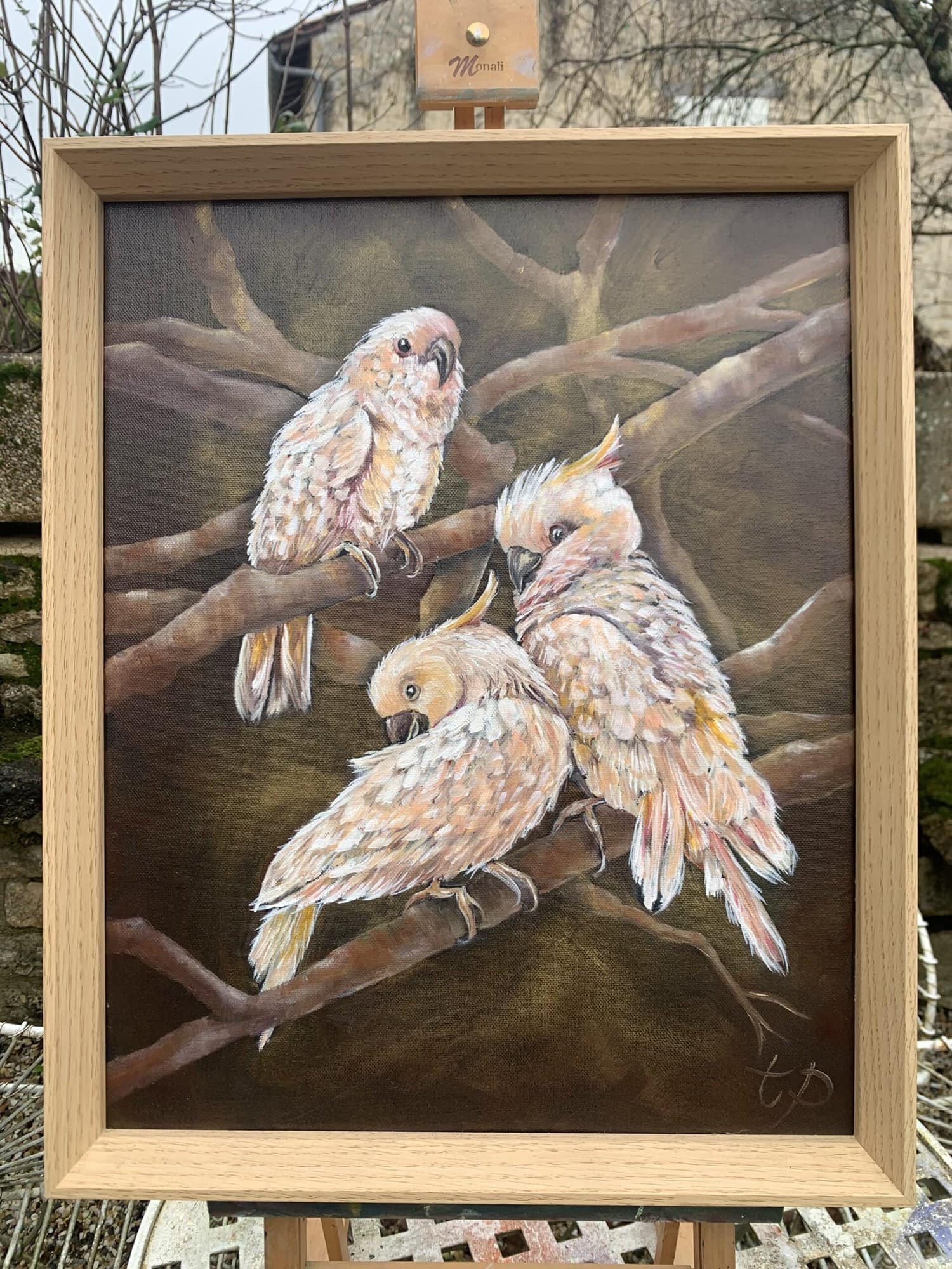 Three Cockatoos, Oil Painting by Tandy Pengelly Wildlife Artist Original Wildlife Oil Painting on Canvas, 60 x 50 cm This luminous oil painting captures three cockatoos resting quietly among twisting branches, their soft peach and ivory feathers glowing against a rich, earthy background. Painted with sensitivity and depth, the work celebrates intimacy, companionship and the quiet intelligence of the natural world.