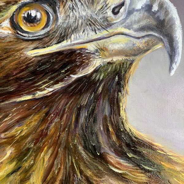 Focus, Golden Eagle Oil Painting by Tandy Pengelly Wildlife Artist Original Wildlife Oil Painting on Canvas, 30 x 40 cm Focus is a powerful oil painting capturing the unwavering gaze of a golden eagle. The intensity of the eye, luminous and alert, draws the viewer into a moment of stillness before movement, a breath held between instinct and action. Painted in rich earth tones with flashes of burnished gold, this original work by Tandy Pengelly Wildlife Artist celebrates strength, clarity and sovereign presence.