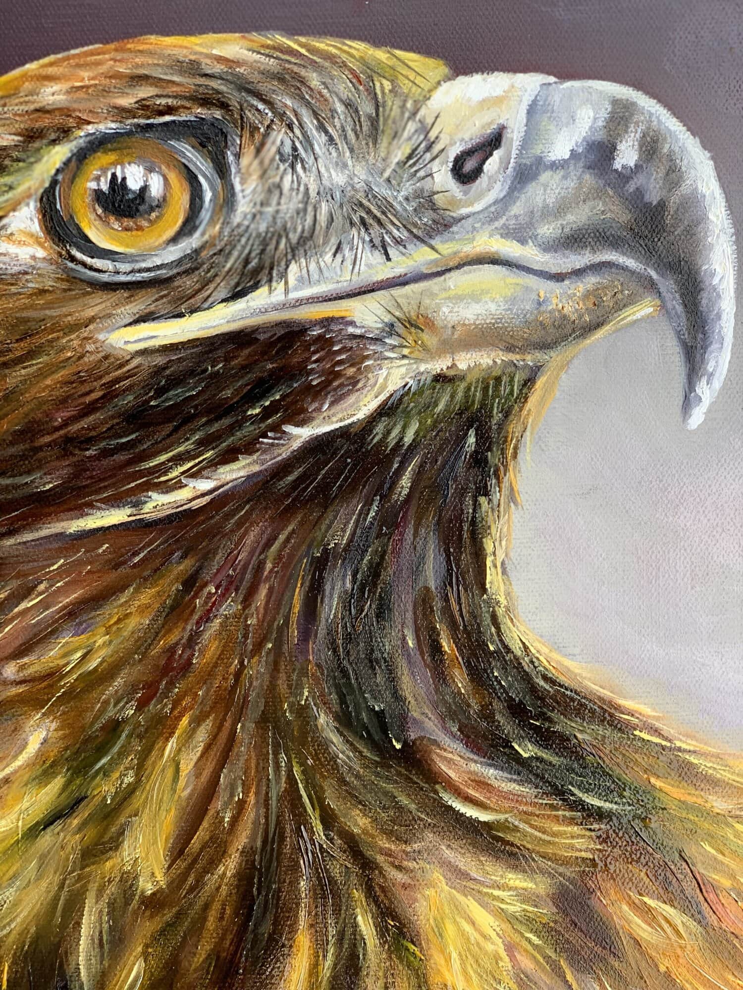 Focus, Golden Eagle Oil Painting by Tandy Pengelly Wildlife Artist Original Wildlife Oil Painting on Canvas, 30 x 40 cm Focus is a powerful oil painting capturing the unwavering gaze of a golden eagle. The intensity of the eye, luminous and alert, draws the viewer into a moment of stillness before movement, a breath held between instinct and action. Painted in rich earth tones with flashes of burnished gold, this original work by Tandy Pengelly Wildlife Artist celebrates strength, clarity and sovereign presence.