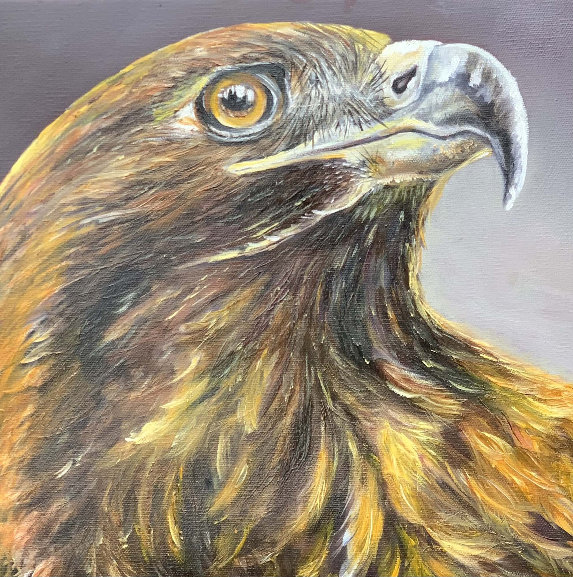 Focus, Golden Eagle Oil Painting by Tandy Pengelly Wildlife Artist Original Wildlife Oil Painting on Canvas, 30 x 40 cm Focus is a powerful oil painting capturing the unwavering gaze of a golden eagle. The intensity of the eye, luminous and alert, draws the viewer into a moment of stillness before movement, a breath held between instinct and action. Painted in rich earth tones with flashes of burnished gold, this original work by Tandy Pengelly Wildlife Artist celebrates strength, clarity and sovereign presence.