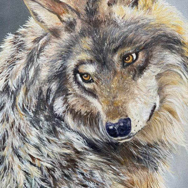 Tandy Pengelly Wildlife Artist Wolf painting, wildlife art, canine ancestors, majestic wolves, nature-inspired art