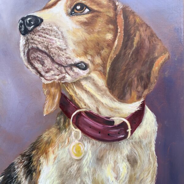 Pet Portraits by Wild Life Artist Tandy Pengelly
