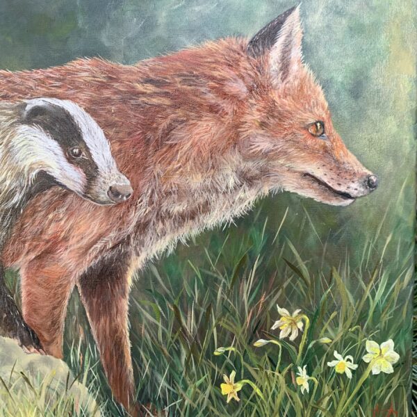Fur Collection by Wildlife Artist Tandy Pengelly