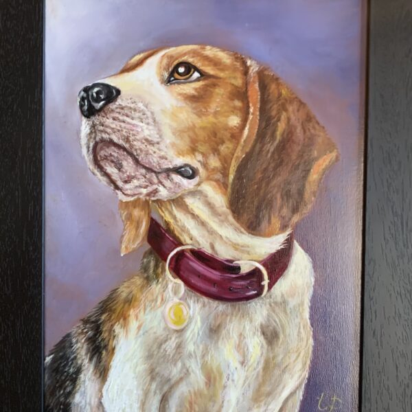 Pet Portraits by Wildlife artist Tandy Pengelly