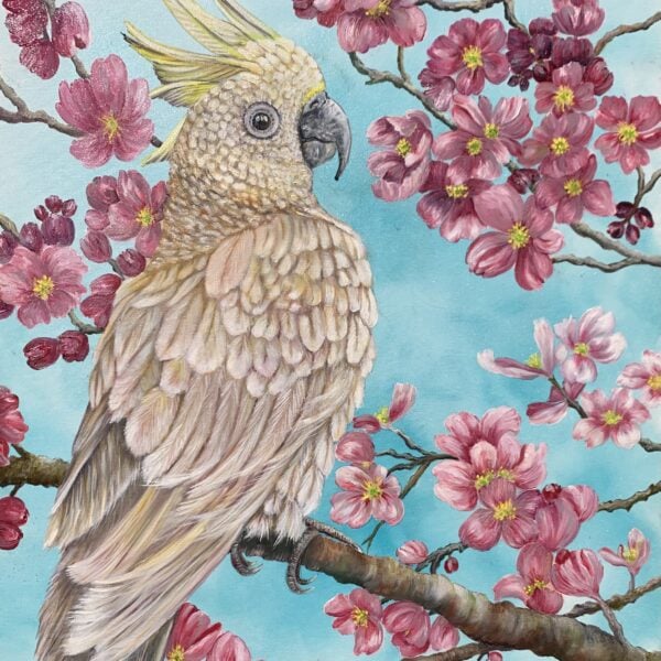 Beautiful vibrant oil painting of flowers and parrot by Wildlife artist Tandy Pengelly