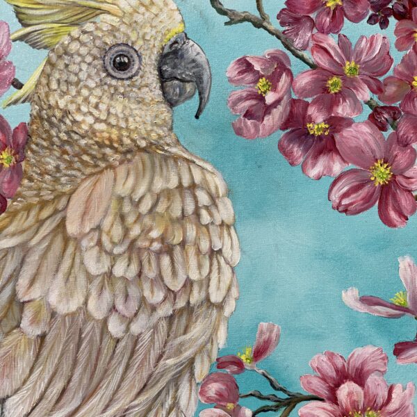 Collection of bird oil paintings by Wildlife Artist Tandy Pengelly