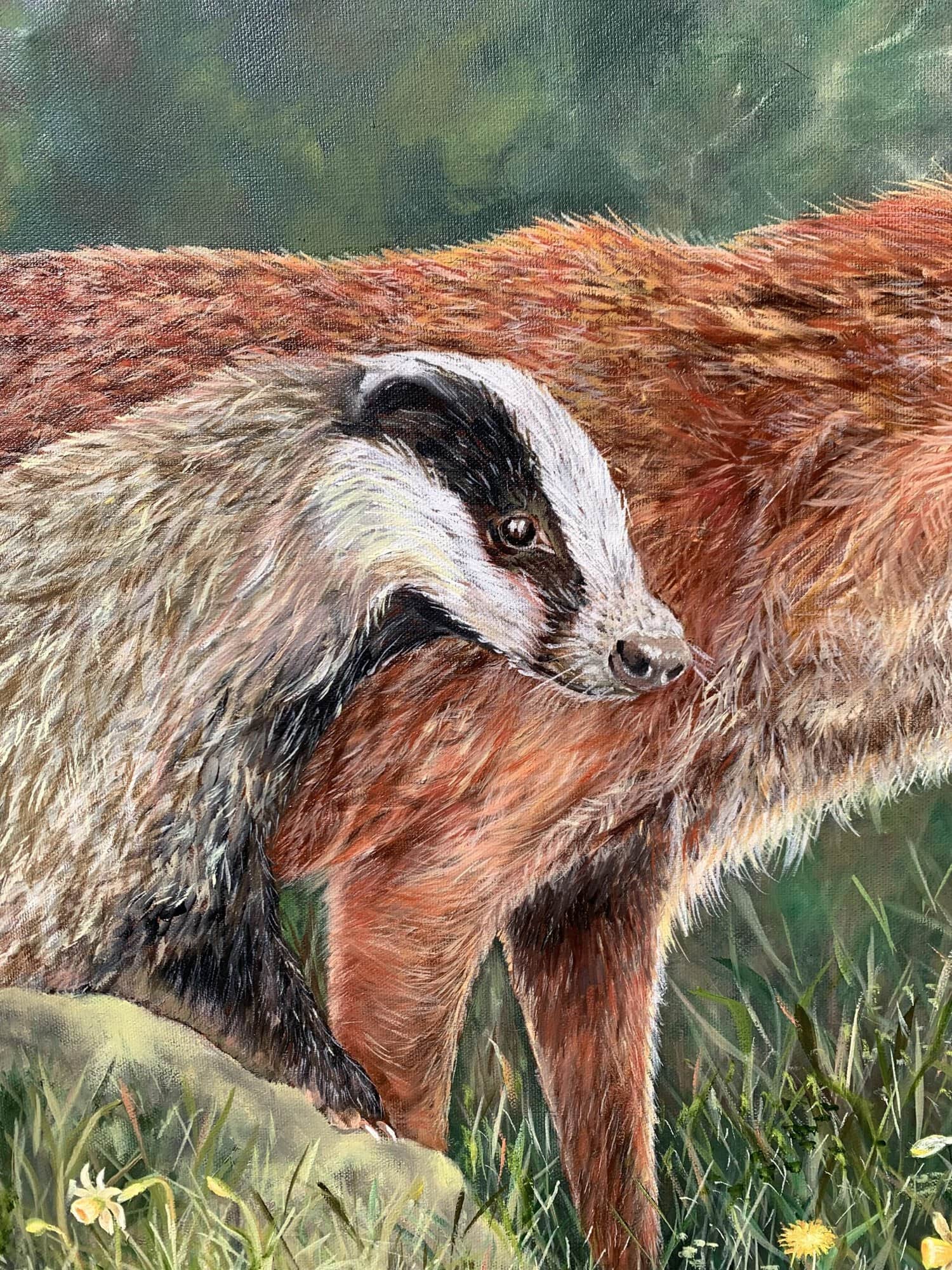Fox and Badger Oil Painting by Nature Artist Tandy Pengelly