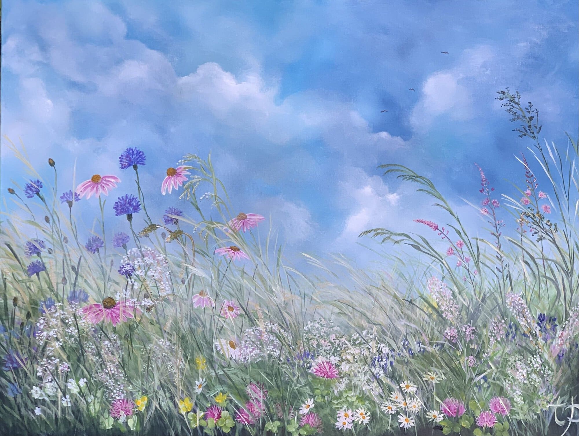 Wildflower Meadow Painting by Nature Artist Tandy Pengelly