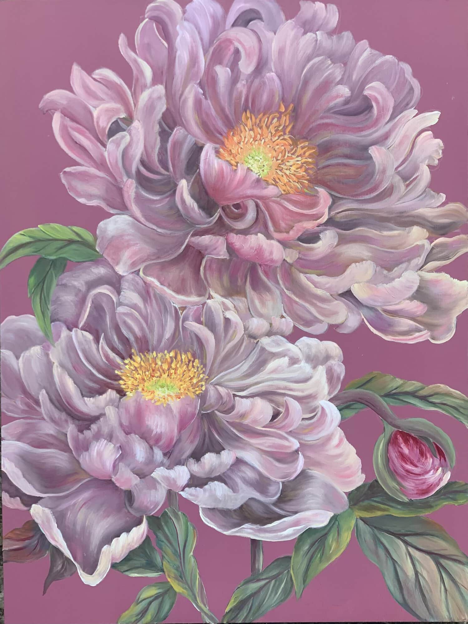 Soft Pink Peony Painting by Nature Artist Tandy Pengelly