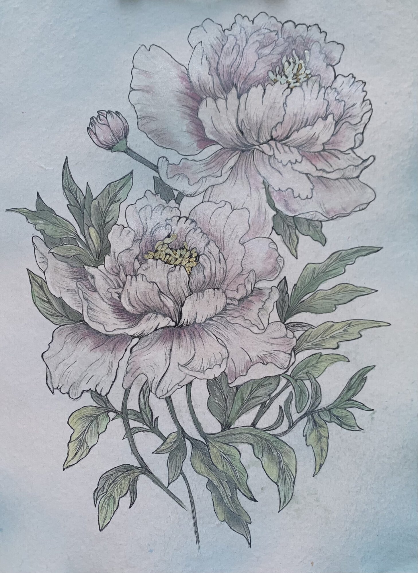 Day 1 Whispers of Summer - Image 2