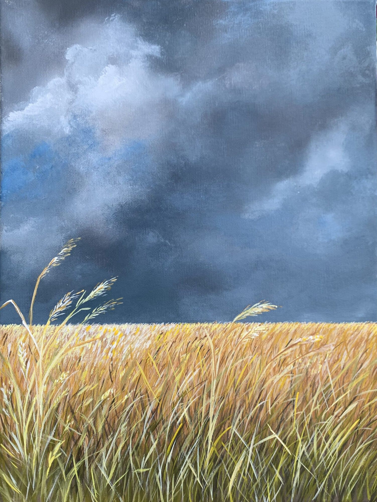 Day 4 Storm Over the Summer Fields - Image 2