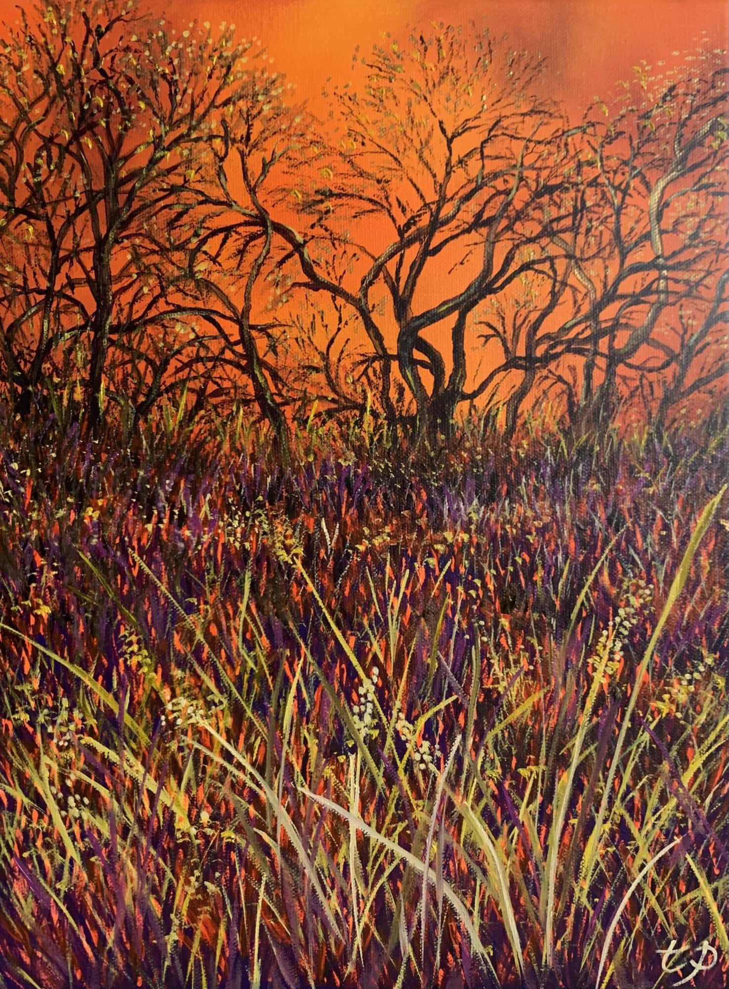 Day 5 Beneath the Amber Sky - Image 2