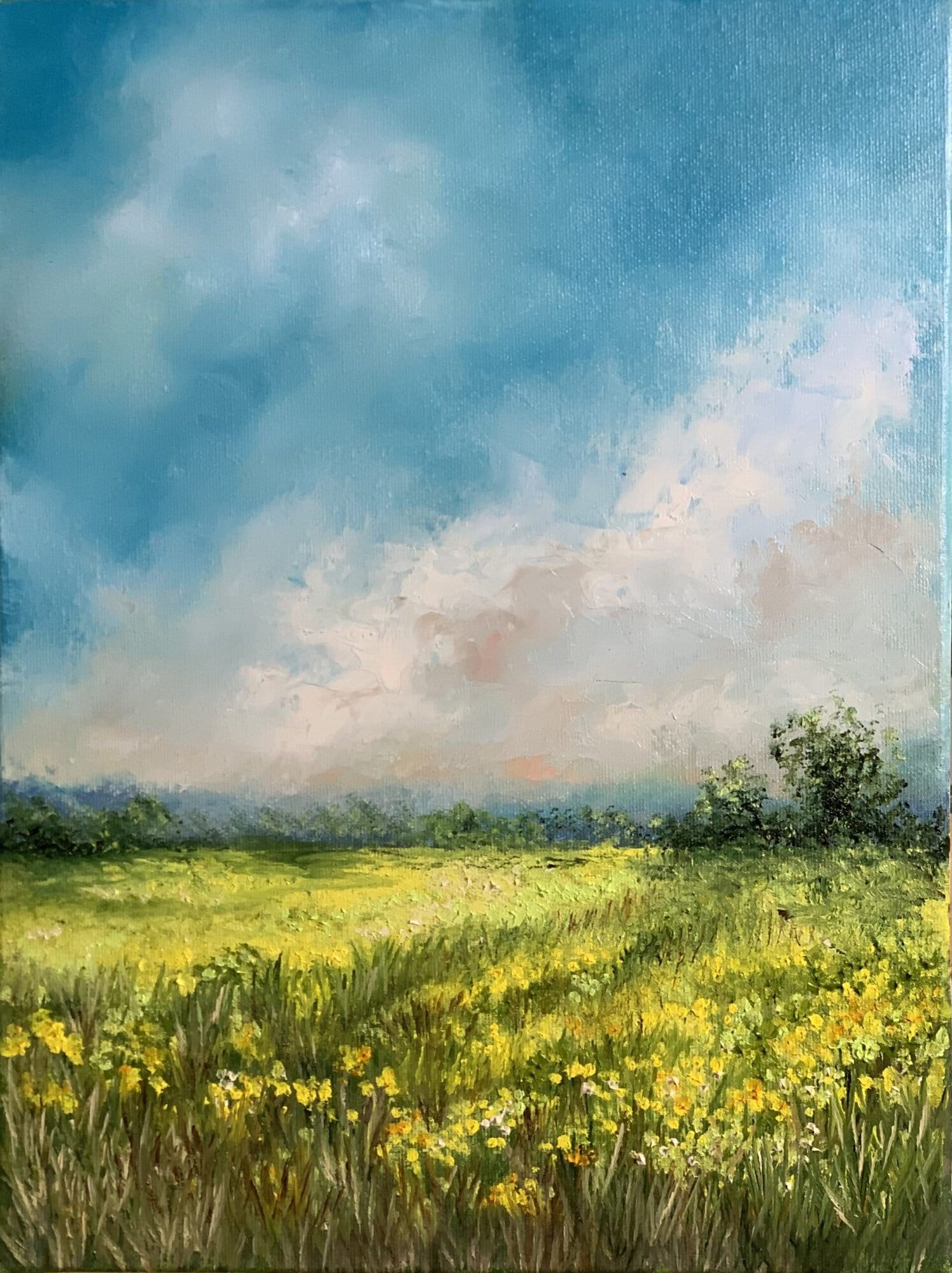 A calming original oil painting of a sunlit spring meadow, filled with wildflowers, peaceful skies and the gentle promise of summer.