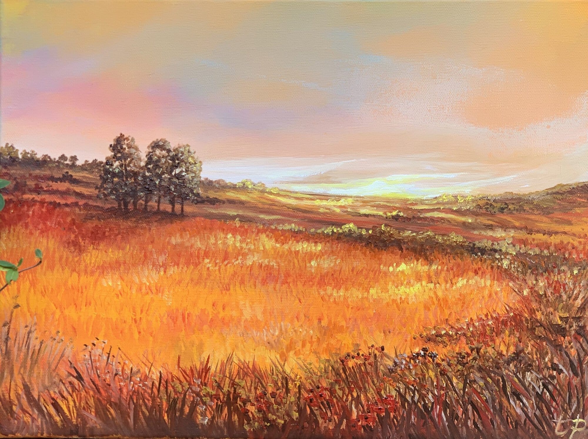 This painting has been deeply inspired by the intensity of the Summer Heat here in France, which has created the most beautiful golden sunsets and sunrises. The colours have been intense, and a great pleasure to capture on canvas.